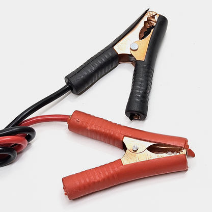 Punjač Akumulatora - 30A